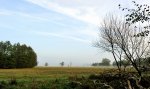 DSC_5833.jpg