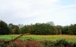 DSC_5834.jpg