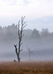 DSC_5934.jpg