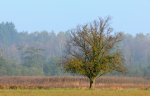 DSC_5939.jpg