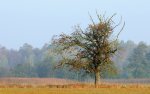 DSC_5940.jpg