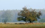 DSC_5944.jpg