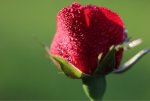 ImageUploadedByTapatalk1413279336.807109.jpg