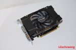 IMGP4806.JPG