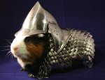 Mightys0x-Meerschweinchen-Rüstung_1.jpg