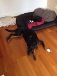 Foto 6.JPG