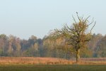 DSC_5979.jpg