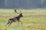 DSC_6059.jpg