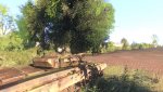 107410_2014-10-29_00003.jpg