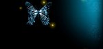 butterfly.jpg