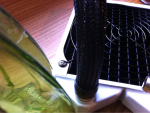 image-1497956355.png