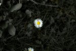 DSC_9190.jpg