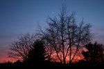 IMG_2214.jpg