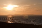 IMG_2955.jpg