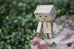 DanBo1.JPG