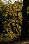 DSC_5980.jpg