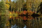 DSC_6016.jpg