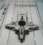 F7C-M SUPER HORNET.jpg