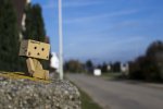 DanBo2.JPG