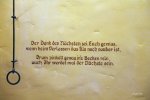 FlyPic (4).jpg
