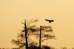 DSC_6082.jpg