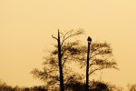 DSC_6087.jpg