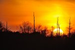 DSC_6092.jpg