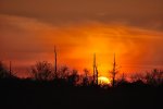 DSC_6095.jpg