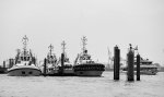 DSC_6161sw.jpg