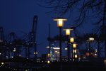 DSC_6176.jpg