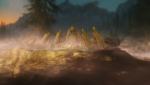 ScreenShot80 - Kopie.png