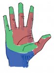 Handflaeche.jpg