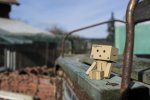 DanBo4.JPG