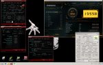 cat 1080.jpg