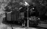 Selketalbahn SW Malefekt -  1000 x 625 - 6.jpg
