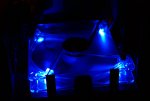 DSC07397_900.jpg