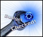 Budget Checked poiu small blue.jpg
