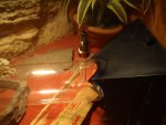 PC030699.jpg