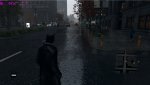 WD2.jpg
