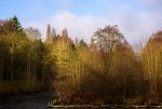 DSC_0090.jpg