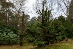 DSC_0043.jpg
