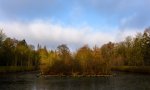 DSC_0082.jpg