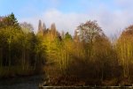 DSC_0090.jpg