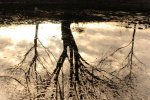IMG_3917.JPG