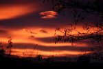 IMG_4041.JPG