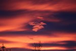 IMG_4044.JPG