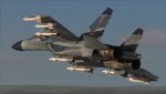 DCS_FC3 (9).jpg