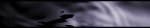 Header_01.jpg