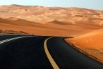DSC_7310_s.JPG