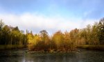 DSC_0082s.jpg
